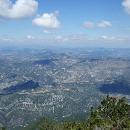 DSCF0856