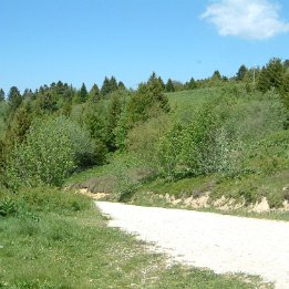 Sortie VTT 11 juin 2006 004