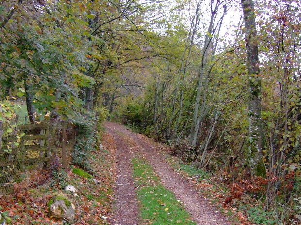 Novembre