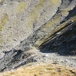 DSCF1333