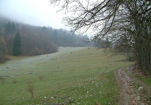2003