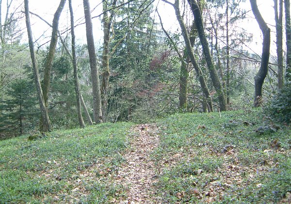 10-4-5 - La motte Servolex