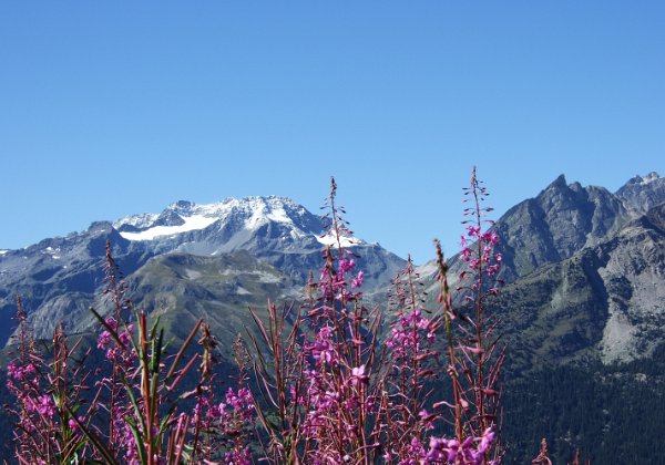 18-8-6 - La Norma