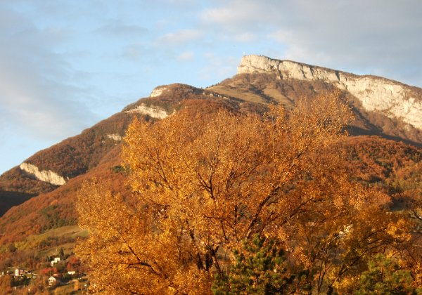 19-11-6 - Pragondran