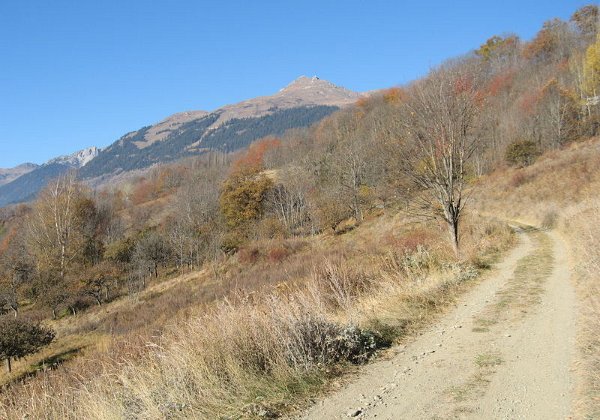 8-11-7 - Le Mont Rosset