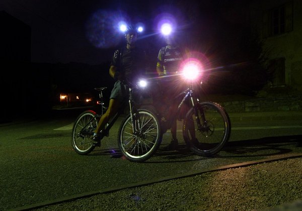31-8-9 - La darde en nocturne