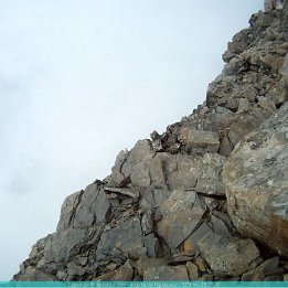 images014