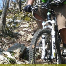 250312-dressiere007