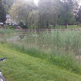 20150529_080551 FocusArea=111011011