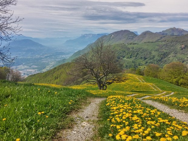 08-05-15 - Col du Potat