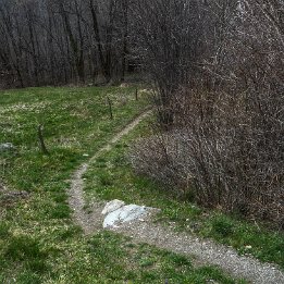 P1290114