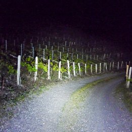P1300162