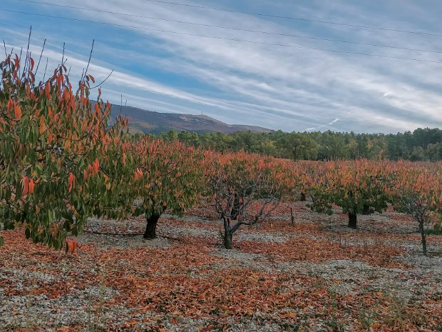 30-10-17 - Mont Ventoux