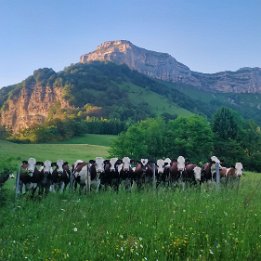 IMG_20190618_204540