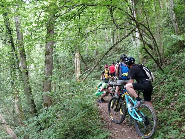 04-06-19 - VTT avec Christine