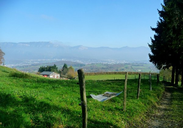 11-11-11 - La Grande Dressière