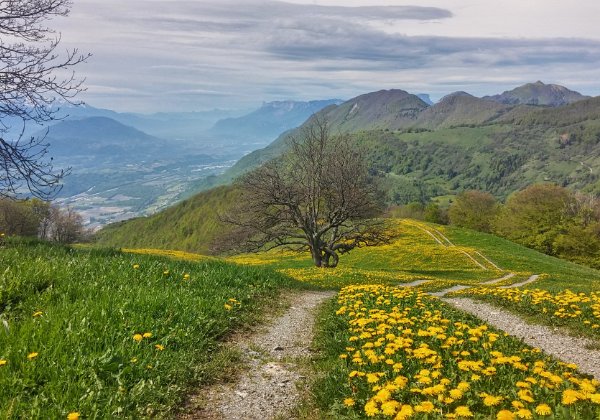 08-05-15 - Col du Potat