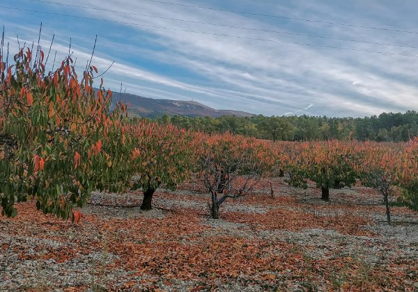 30-10-17 - Mont Ventoux