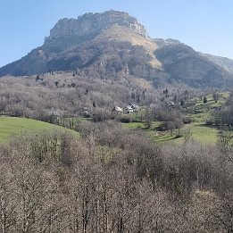 IMG_20210403_105820