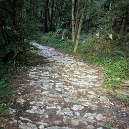 PXL_20250722_185635701.MP