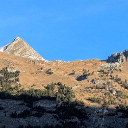 PXL_20251111_074003495.MP