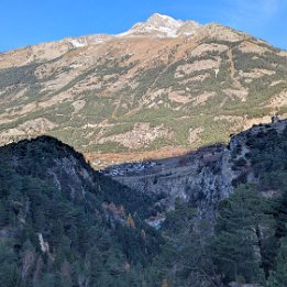 PXL_20251111_084241953.MP