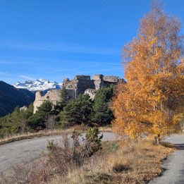 PXL_20251111_091221100.MP