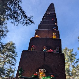 PXL_20251111_102145369.MP