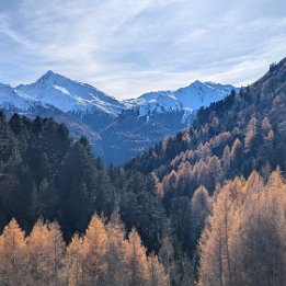 PXL_20251111_112112301.MP