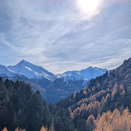 PXL_20251111_112117406.MP