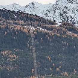 PXL_20251111_141028604.MP