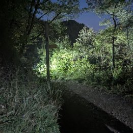 PXL_20251007_175941010.NIGHT