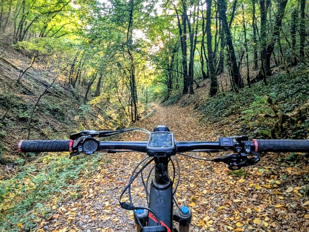 14-10-25 - Sortie du mardi