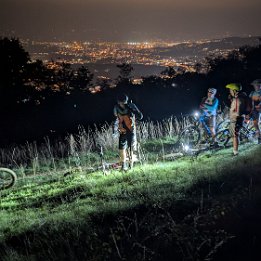 PXL_20251014_174301364.NIGHT
