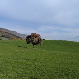 PXL_20251019_085826692.MP