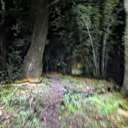 PXL_20250930_180920825.MP