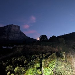 PXL_20260818_191958433.NIGHT