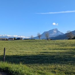 PXL_20260407_164433310