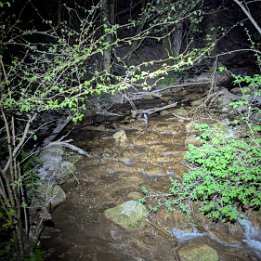 PXL_20260407_191542961