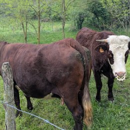 PXL_20260414_165806943