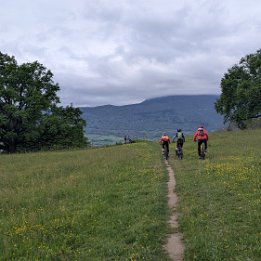 PXL_20260414_171531867