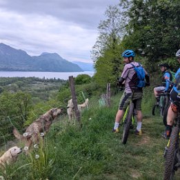 PXL_20260414_175926167