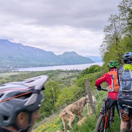 PXL_20260414_175935072