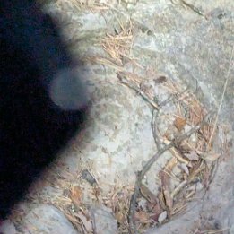 PXL_20260908_181401455