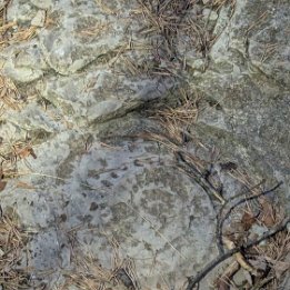 PXL_20260908_181404234