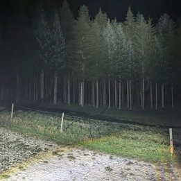 PXL_20260929_185245500.NIGHT