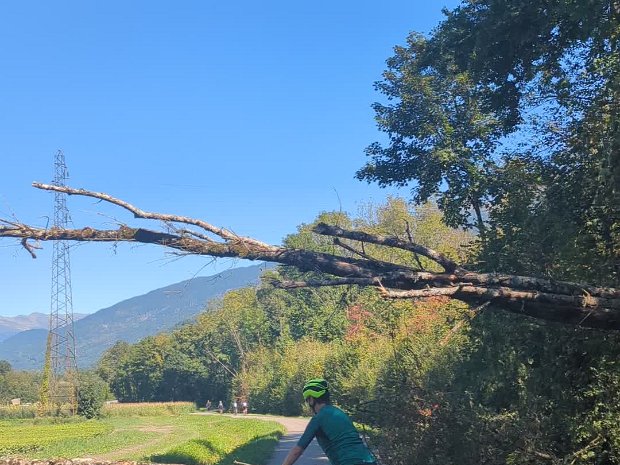 Vélo de route