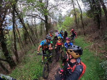 VTT