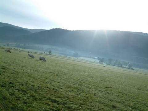 Massif du vercors